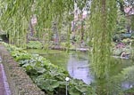 A lovely pond at the Kruidtuin.