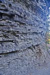The shale and sandstone layers that were cut by erosion by Buttermilk Creek.
