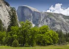 Half Dome and Meadow